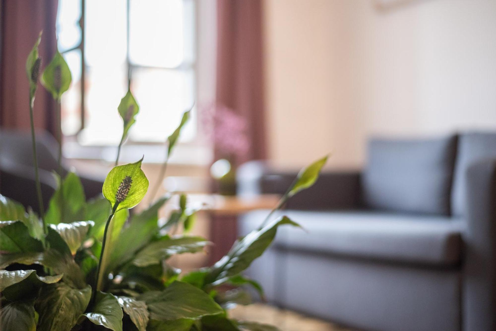 Art Hotel Tartini Пиран Екстериор снимка